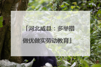 河北威县：多举措做优做实劳动教育