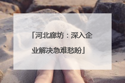 河北廊坊：深入企业解决急难愁盼