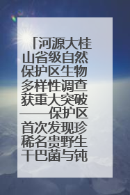 河源大桂山省级自然保护区生物多样性调查获重大突破——保护区首次发现珍稀名贵野生干巴菌与钝尾两头蛇