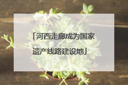 河西走廊成为国家遗产线路建设地