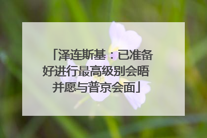 泽连斯基：已准备好进行最高级别会晤并愿与普京会面