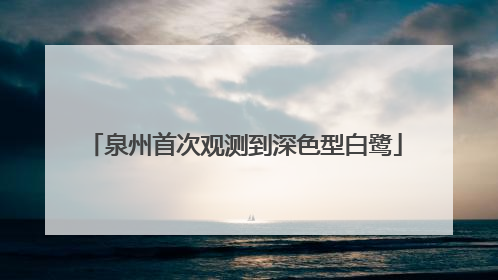 泉州首次观测到深色型白鹭