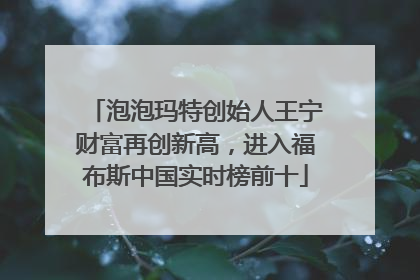 泡泡玛特创始人王宁财富再创新高，进入福布斯中国实时榜前十
