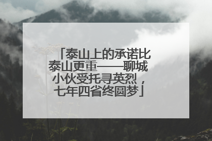 泰山上的承诺比泰山更重——聊城小伙受托寻英烈，七年四省终圆梦