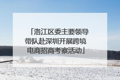 洛江区委主要领导带队赴深圳开展跨境电商招商考察活动