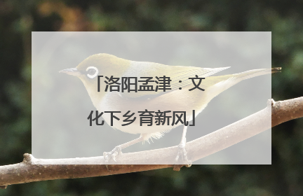 洛阳孟津：文化下乡育新风