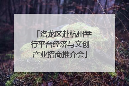 洛龙区赴杭州举行平台经济与文创产业招商推介会