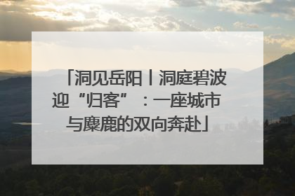 洞见岳阳丨洞庭碧波迎“归客”：一座城市与麋鹿的双向奔赴