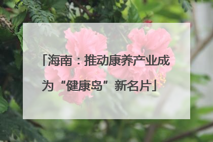 海南：推动康养产业成为“健康岛”新名片