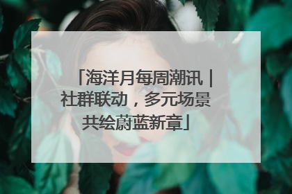 海洋月每周潮讯｜社群联动，多元场景共绘蔚蓝新章