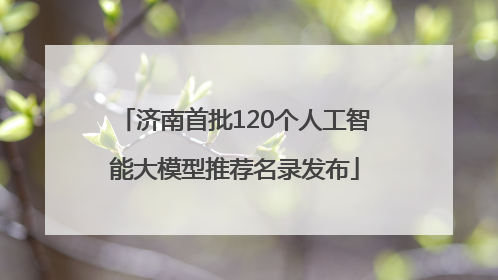 济南首批120个人工智能大模型推荐名录发布