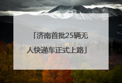 济南首批25辆无人快递车正式上路