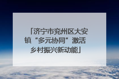 济宁市兖州区大安镇“多元协同”激活乡村振兴新动能