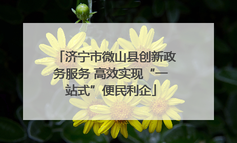 济宁市微山县创新政务服务 高效实现“一站式”便民利企