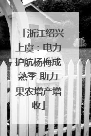 浙江绍兴上虞：电力护航杨梅成熟季 助力果农增产增收