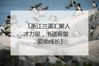 浙江兰溪汇聚人才力量，书送希望，爱助成长