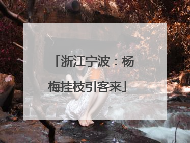 浙江宁波：杨梅挂枝引客来