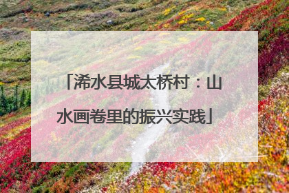 浠水县城太桥村：山水画卷里的振兴实践