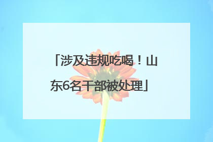 涉及违规吃喝！山东6名干部被处理
