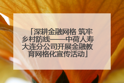 深耕金融网格 筑牢乡村防线——中荷人寿大连分公司开展金融教育网格化宣传活动
