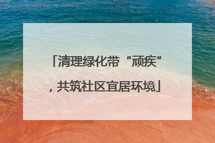 清理绿化带“顽疾”，共筑社区宜居环境