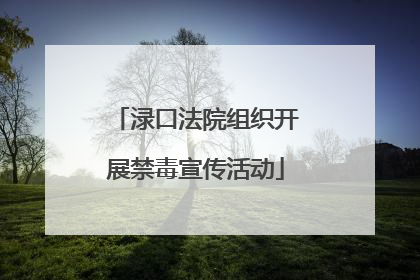 渌口法院组织开展禁毒宣传活动
