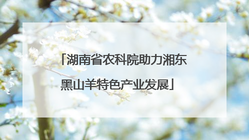 湖南省农科院助力湘东黑山羊特色产业发展