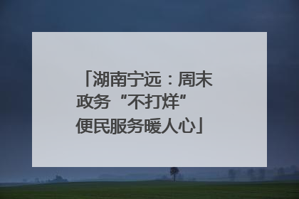 湖南宁远：周末政务“不打烊” 便民服务暖人心