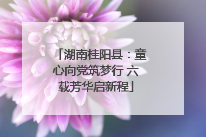 湖南桂阳县：童心向党筑梦行 六载芳华启新程
