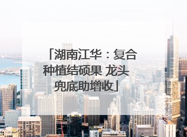 湖南江华：复合种植结硕果 龙头兜底助增收