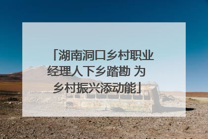 湖南洞口乡村职业经理人下乡踏勘 为乡村振兴添动能
