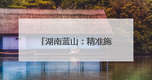 湖南蓝山：精准施策促就业 校企实现“双向奔赴”