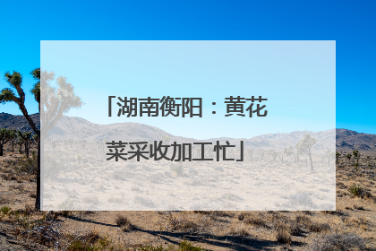 湖南衡阳：黄花菜采收加工忙