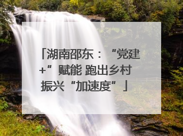 湖南邵东：“党建+”赋能 跑出乡村振兴“加速度”