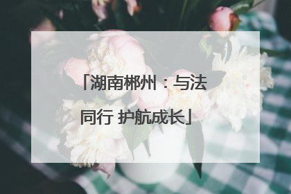 湖南郴州：与法同行 护航成长