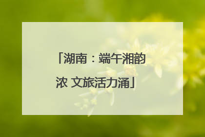 湖南：端午湘韵浓 文旅活力涌