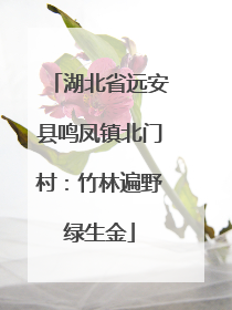 湖北省远安县鸣凤镇北门村：竹林遍野绿生金