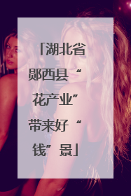 湖北省郧西县“花产业”带来好“钱”景