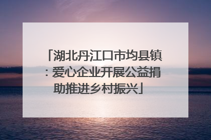 湖北丹江口市均县镇：爱心企业开展公益捐助推进乡村振兴