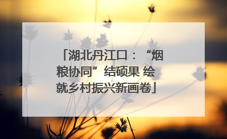 湖北丹江口：“烟粮协同”结硕果 绘就乡村振兴新画卷