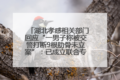 湖北孝感相关部门回应“一男子称被交警打断9根肋骨未立案”：已成立联合专班开展工作