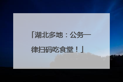 湖北多地：公务一律扫码吃食堂！