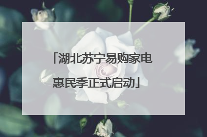 湖北苏宁易购家电惠民季正式启动