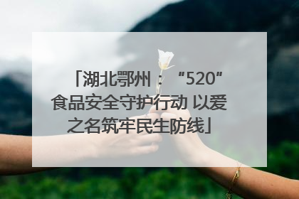 湖北鄂州：“520”食品安全守护行动 以爱之名筑牢民生防线