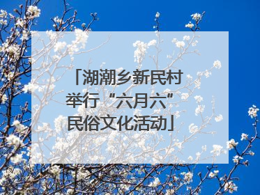 湖潮乡新民村举行“六月六”民俗文化活动