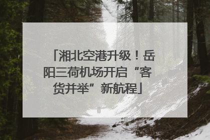 湘北空港升级！岳阳三荷机场开启“客货并举”新航程