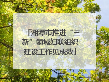 湘潭市推进“三新”领域妇联组织建设工作见成效