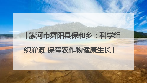 漯河市舞阳县保和乡：科学组织灌溉 保障农作物健康生长