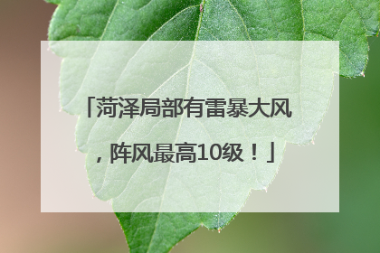 菏泽局部有雷暴大风，阵风最高10级！