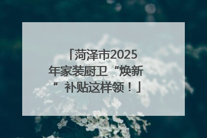 菏泽市2025年家装厨卫“焕新”补贴这样领！